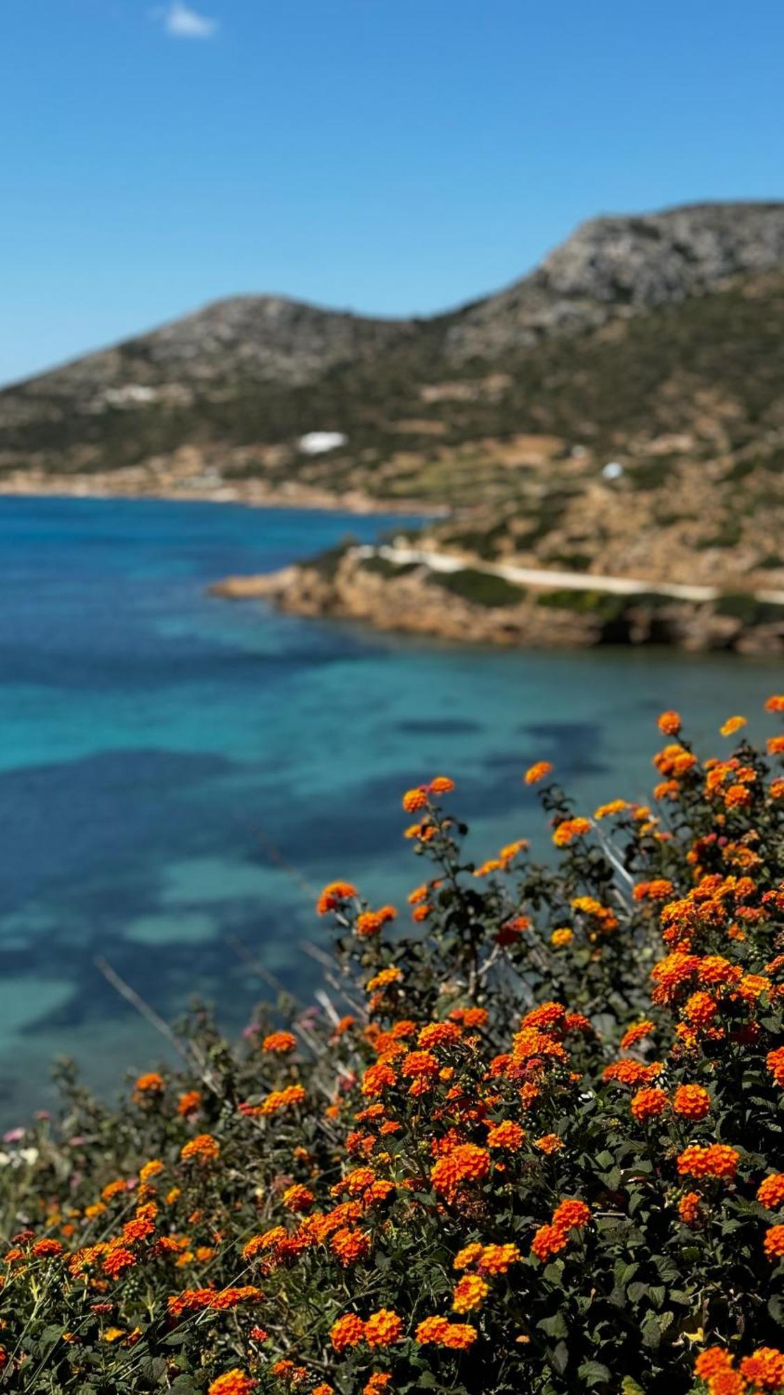 Lipsi Blue Hotel Екстериор снимка