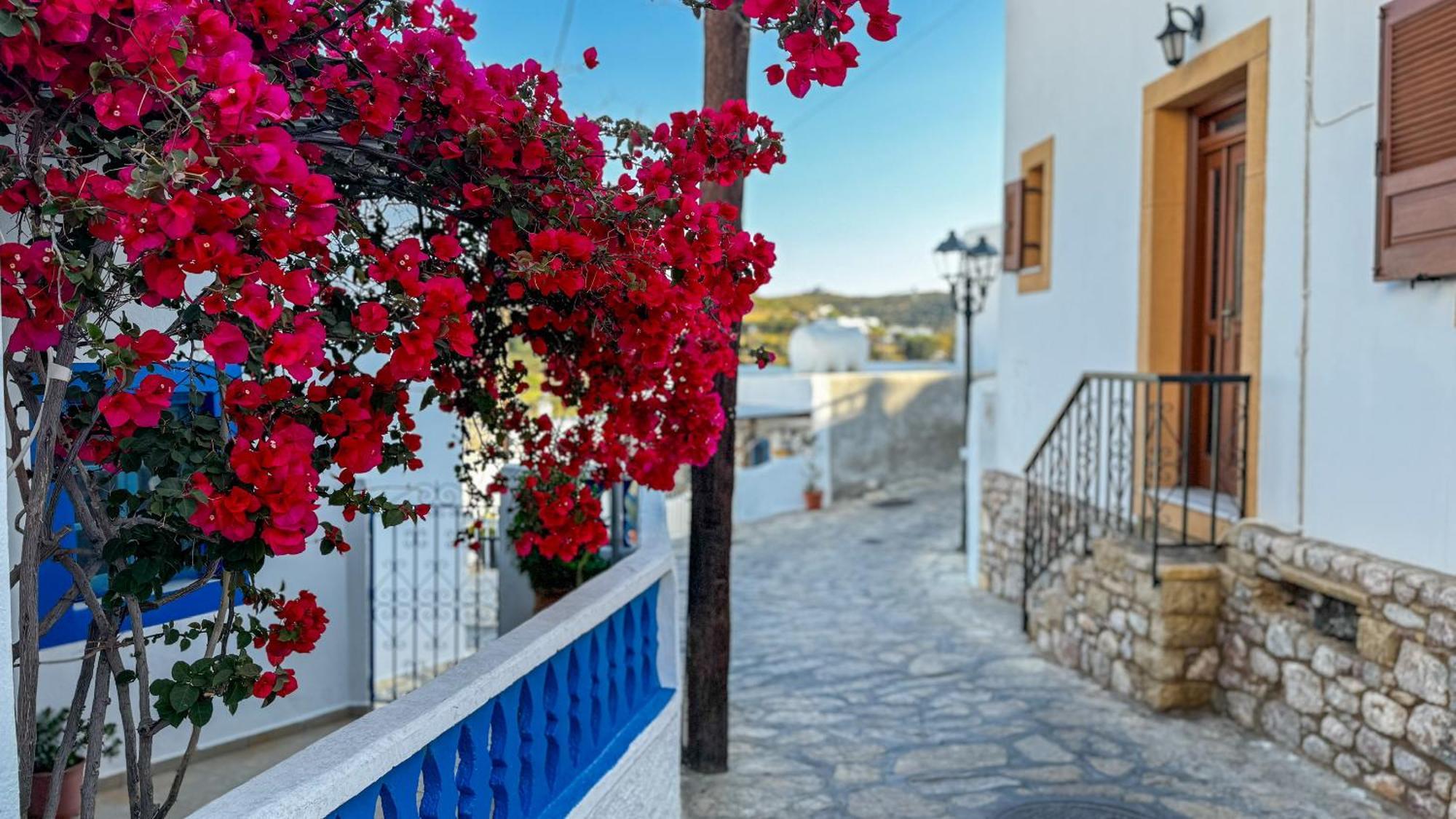 Lipsi Blue Hotel Екстериор снимка